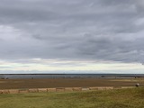 IMG_6792