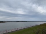 IMG_2051