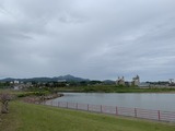 IMG_2321