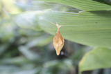 201203301