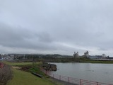 IMG_1931