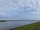 IMG_2503
