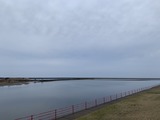 IMG_1040