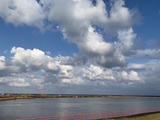 IMG_0979
