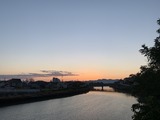 IMG_8232