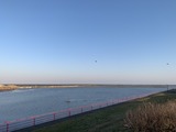 IMG_1015