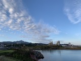 IMG_6741
