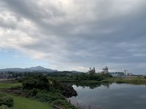 IMG_6517