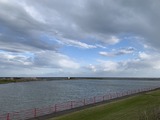 IMG_2154