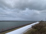 IMG_0337