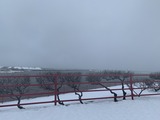 IMG_9065