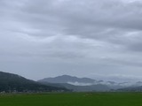 IMG_4226