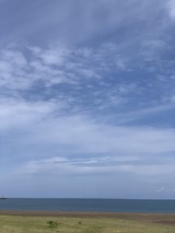 IMG_6492