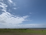 IMG_4416