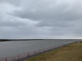 IMG_8936