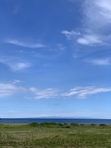 IMG_6378
