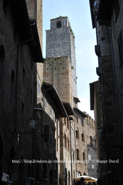 20101106-1114Firenze102