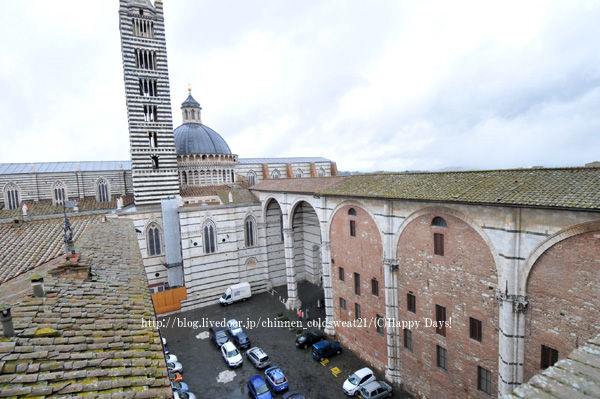 20101106-1114Firenze430