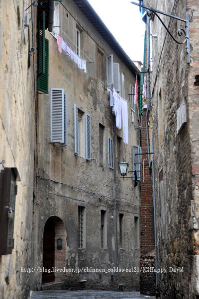 20101106-1114Firenze488