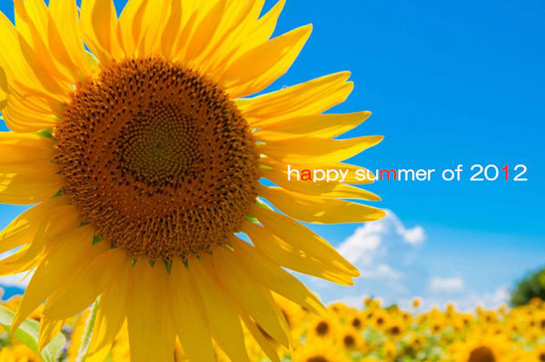 �Ҥޤ��