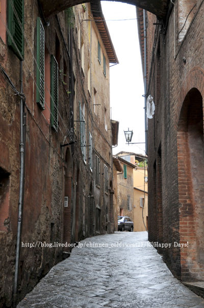 20101106-1114Firenze475