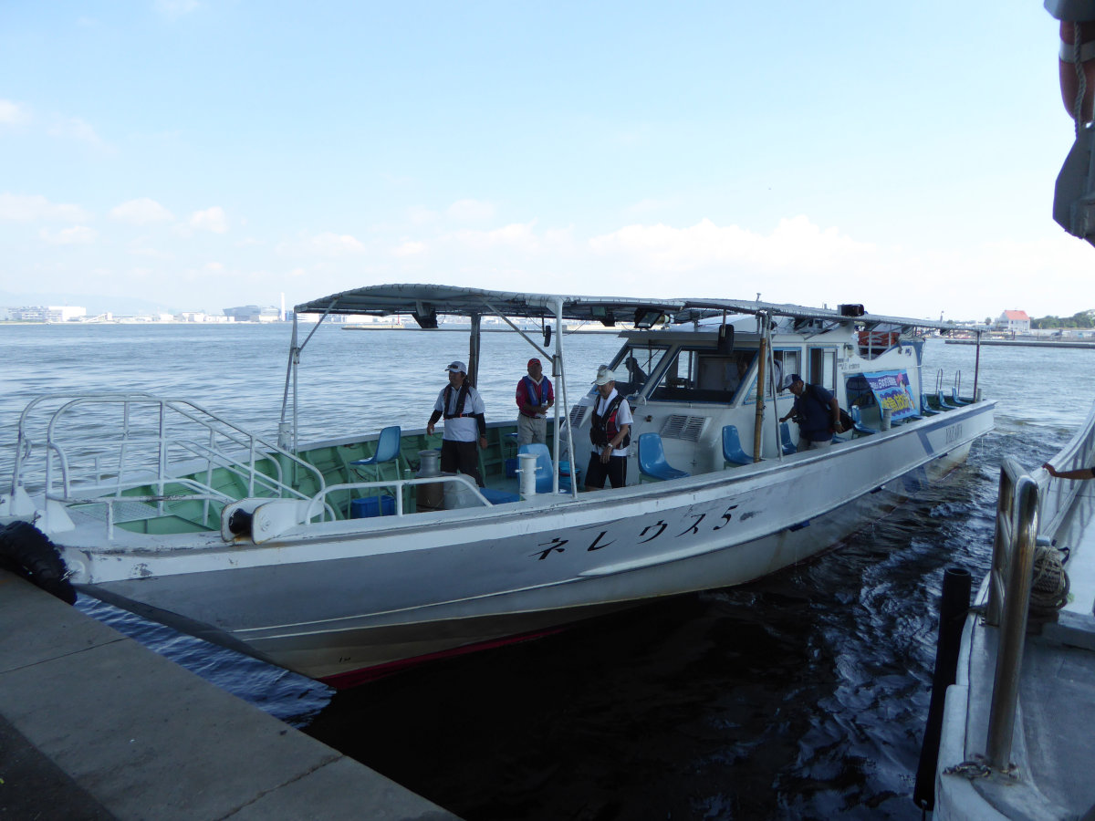 大阪湾チヌ稚魚放流 茅渟関西連合 大阪湾チヌ稚魚放流 茅渟関西連合