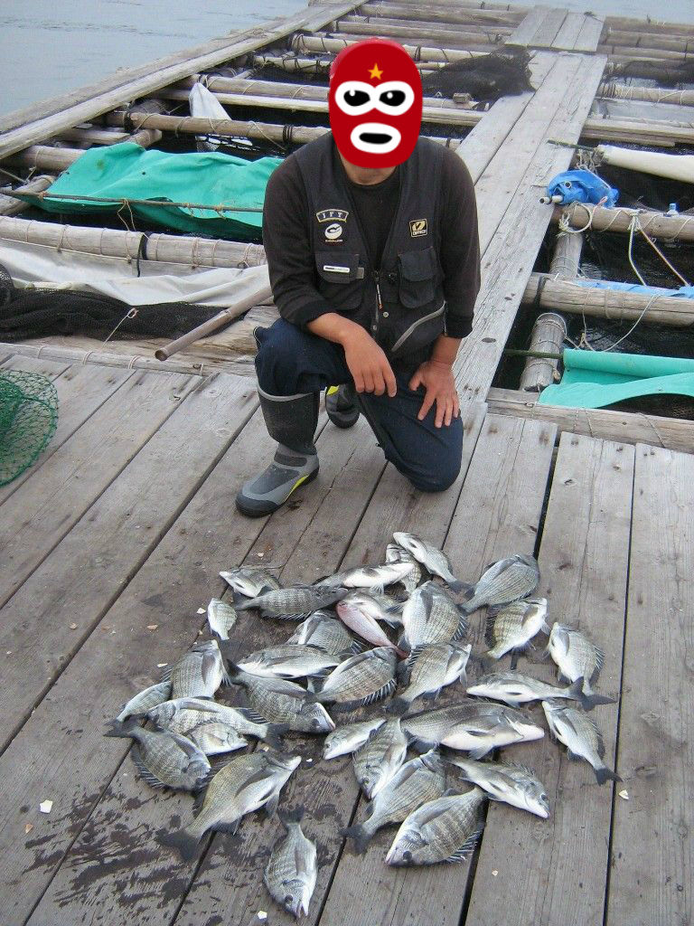 激荒コーンを完全フカセで流して中型チヌ連チャン チヌの知 Bream On Hook 激荒コーンを完全フカセで流して中型チヌ連チャン チヌの知 Bream On Hook