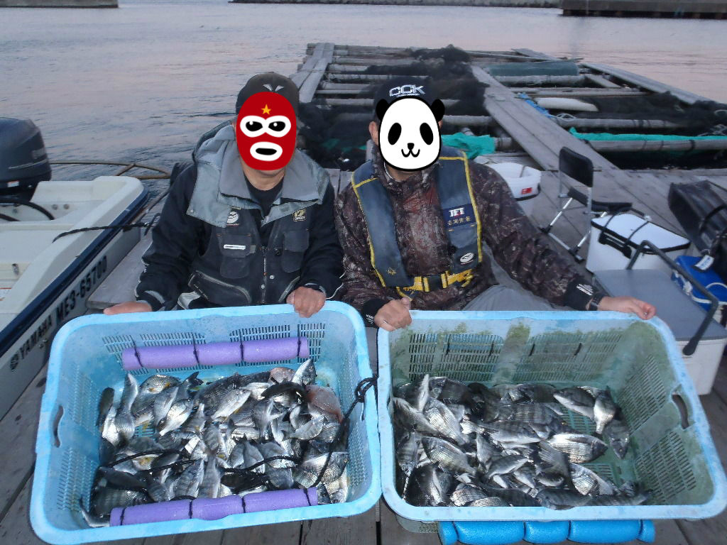 今季初の三桁達成 晩秋の鳥羽名物カイズ交りで112枚 鳥羽小浜 チヌの知 Bream On Hook