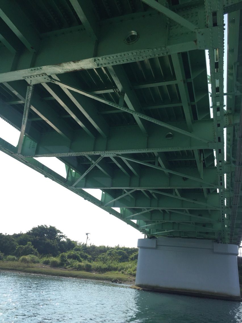 避暑のチヌ釣りで28枚 アイゴとボラの猛攻に泣かされる チヌの知 Bream On Hook