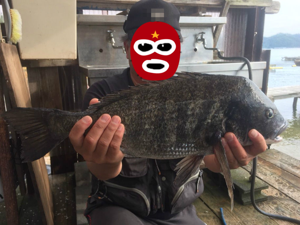ダブルダンゴ釣法で53 年無し ラスト10分の攻め チヌの知 Bream On Hook