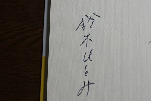 車椅子の花嫁 おさんぽ日記 車椅子の花嫁 おさんぽ日記