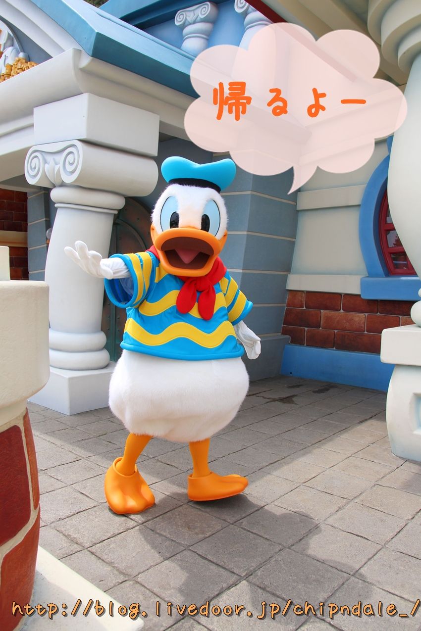 おしりふりふり かわいすぎるトゥーンタウンのドナルド ﾟ ﾟﾉ ﾟ ﾟ ディズニービボウロク