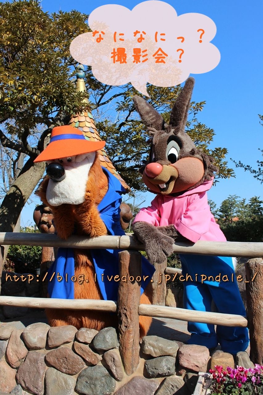 クリッターカントリーでくまどんが驚異のジャンプ サービス精神旺盛なくまどんとうさぎどん ディズニービボウロク
