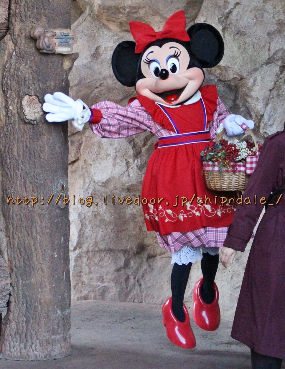 寒くても元気に登場 天使のような ベリーちゃん に会ってきたよー ディズニービボウロク