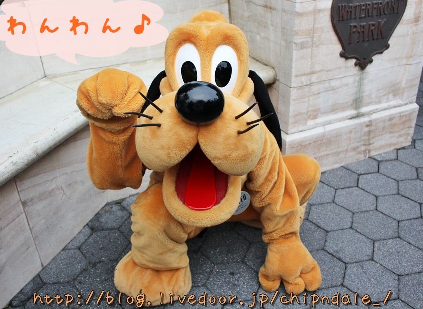 可愛いと言ってもらいたくて仕方がない甘ったれなプルート アメフロ ディズニービボウロク