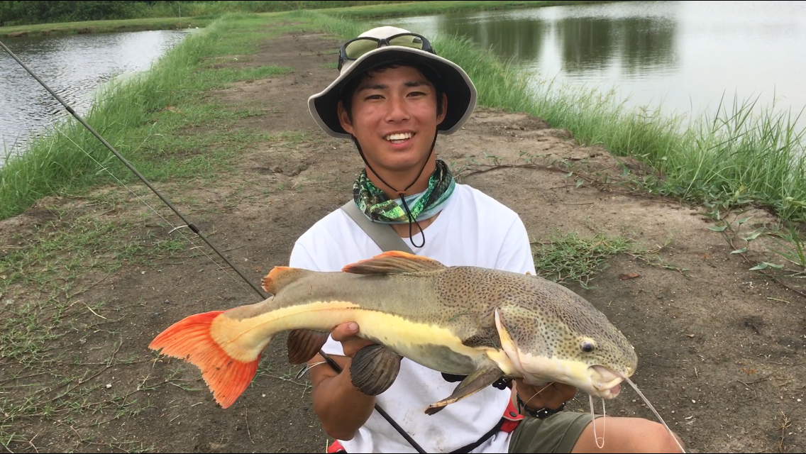 鯰は匂いに敏感 ナイフフィッシュを狙ったら Pilot111 Fishing 柳原広大 の釣り道場へようこそ 鯰は匂いに敏感 ナイフフィッシュを狙ったら Pilot111 Fishing 柳原広大 の釣り道場へようこそ