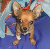 tarou051126