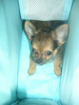 tarou050730