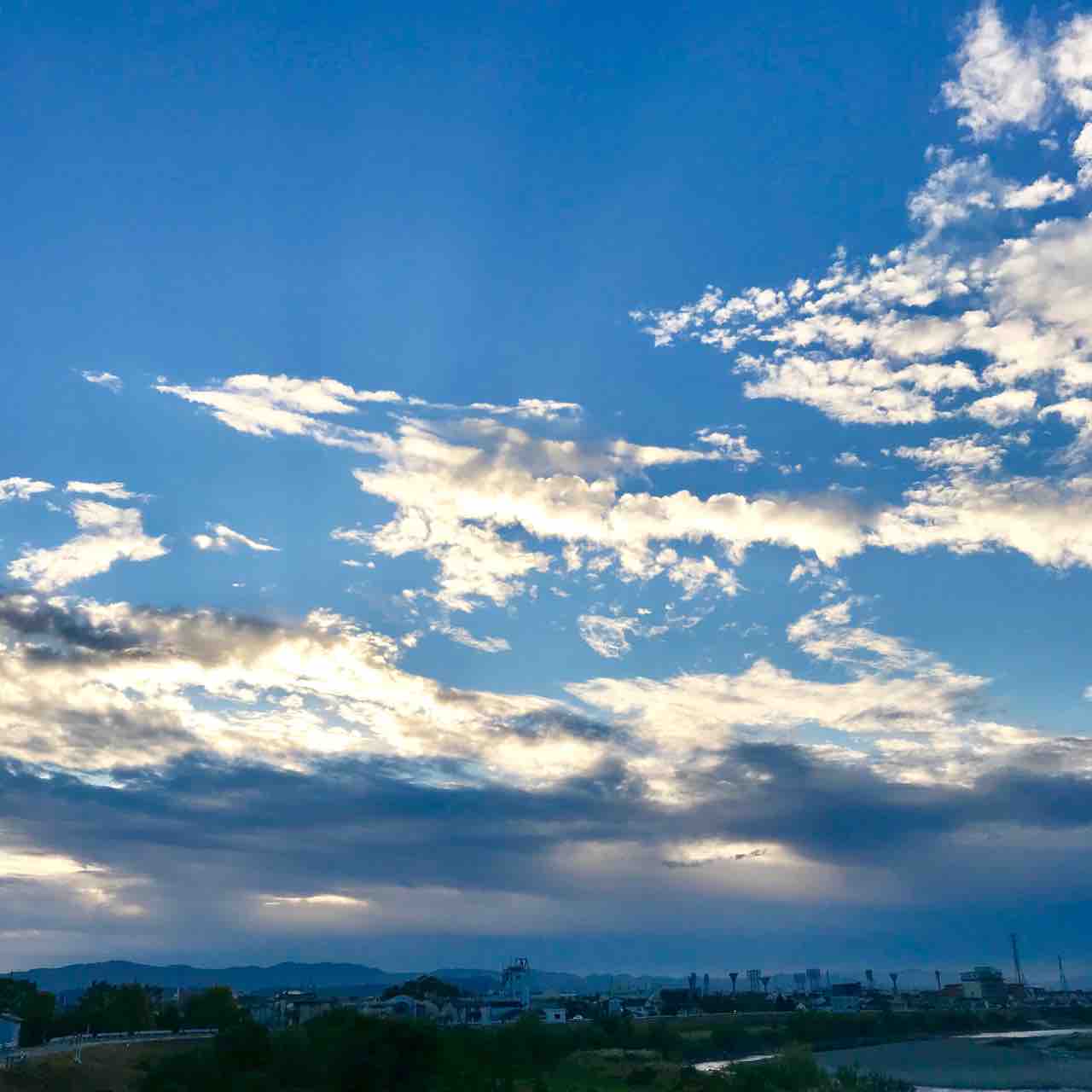 吉兆 龍の様な雲 瑞鳥 もあるよ やっぱり まったり京都ぐらし