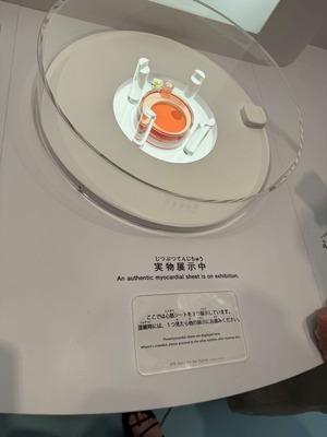 IMG_7329 (2) - コピー