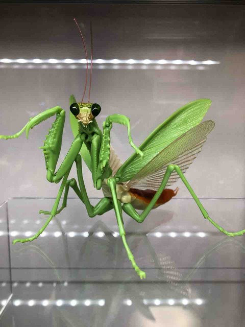 チルチル フィギュアの部屋 キン肉マン ワンピース ドラゴンボールetc いきもの大図鑑 かまきり チルチル フィギュアの部屋 キン肉マン ワンピース ドラゴンボールetc いきもの大図鑑 かまきり