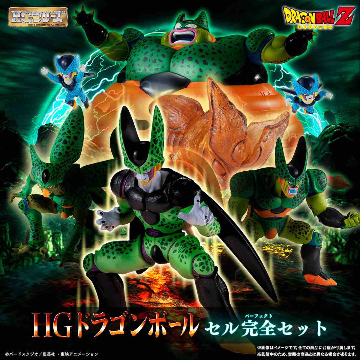 チルチル フィギュアの部屋 キン肉マン ワンピース ドラゴンボールetc Hgドラゴンボール セル完全セットと我が家のセルたち チルチル フィギュアの部屋 キン肉マン ワンピース ドラゴンボールetc Hgドラゴンボール セル完全セットと我が家のセルたち