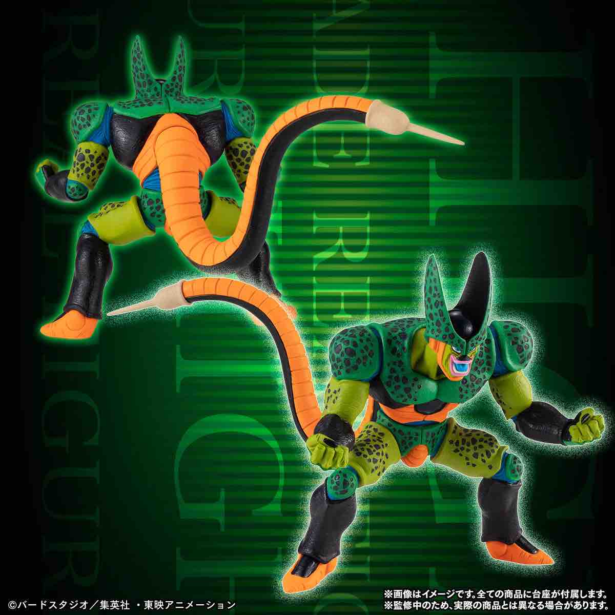 チルチル フィギュアの部屋 キン肉マン ワンピース ドラゴンボールetc Hgドラゴンボール セル完全セットと我が家のセルたち チルチル フィギュアの部屋 キン肉マン ワンピース ドラゴンボールetc Hgドラゴンボール セル完全セットと我が家のセルたち