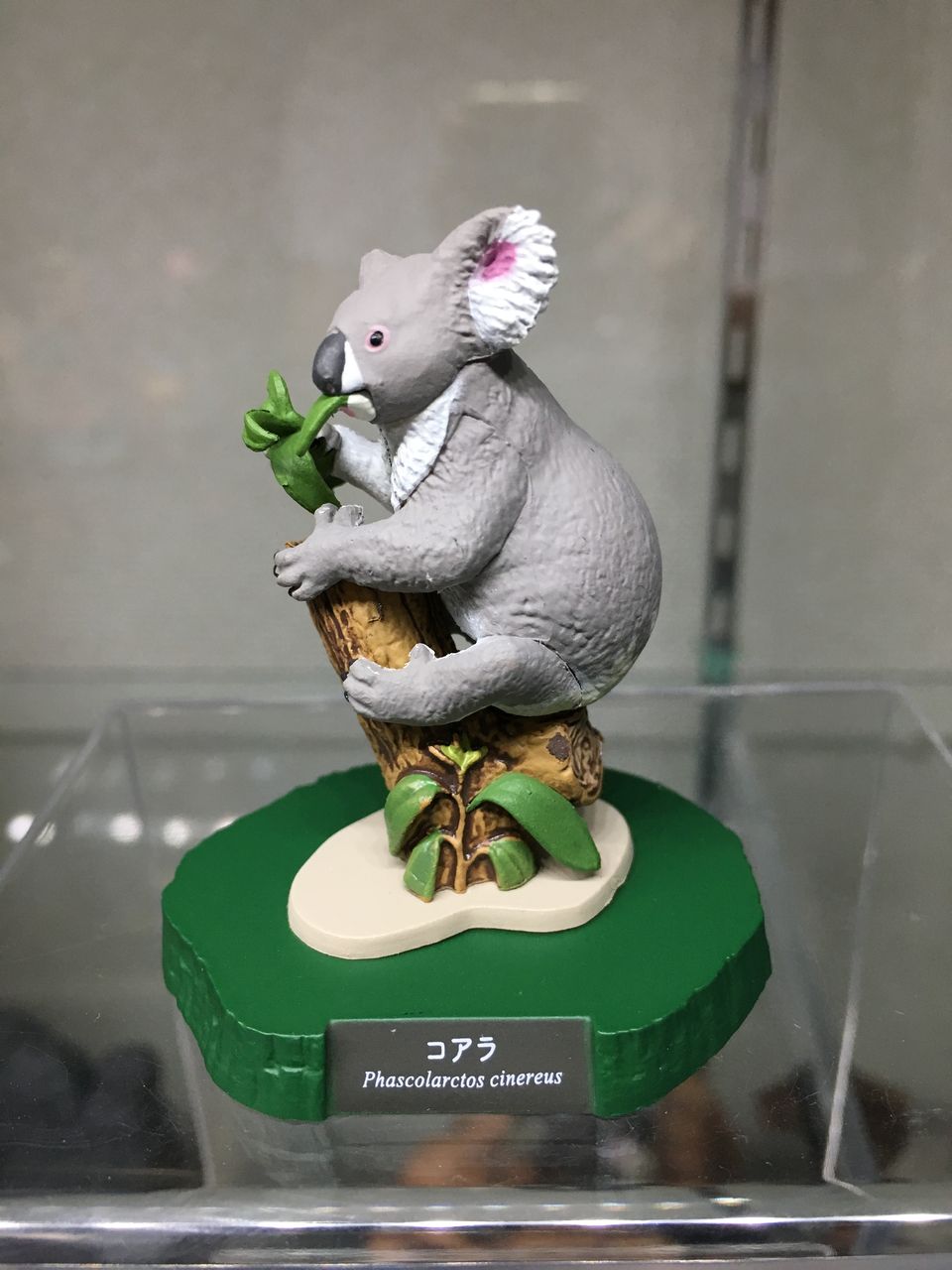 東山動植物園カプセルフィギュア その後 : チルチル フィギュア