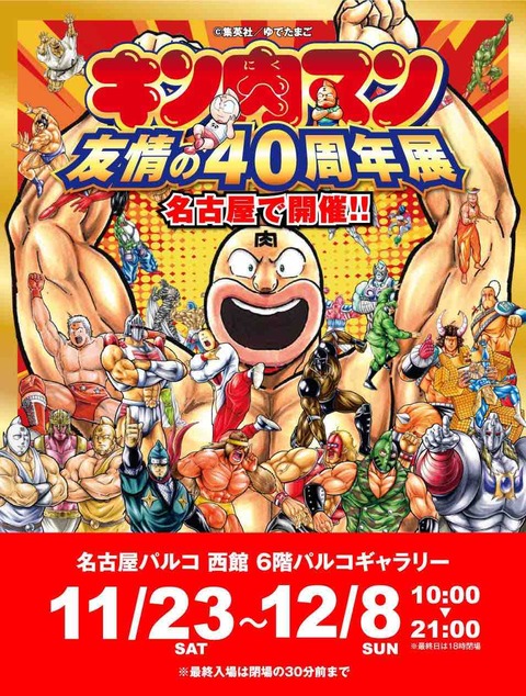 チルチル フィギュアの部屋 キン肉マン ワンピース ドラゴンボールetc コレクション