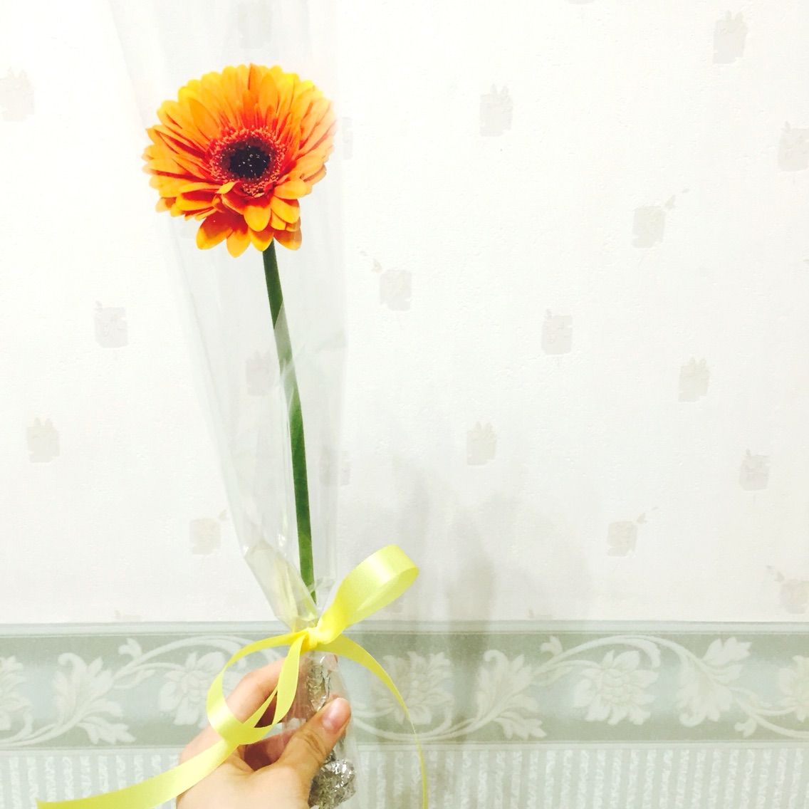 花のある毎日 ちるログ 花のある毎日 ちるログ