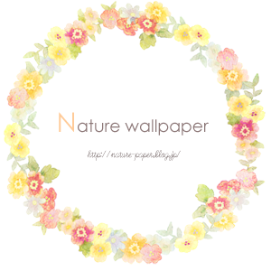Iphone5用の花 自然の壁紙 Nature Wallpaper
