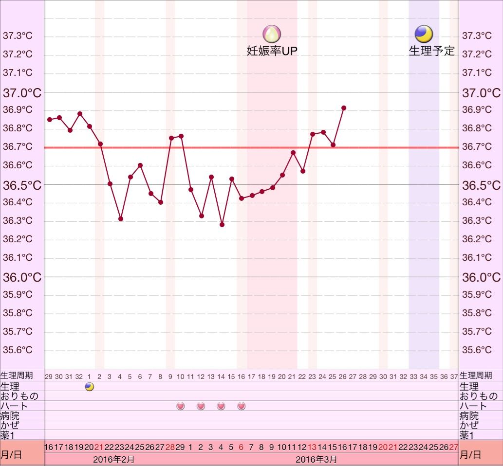 高温期6日目 妊娠した周期