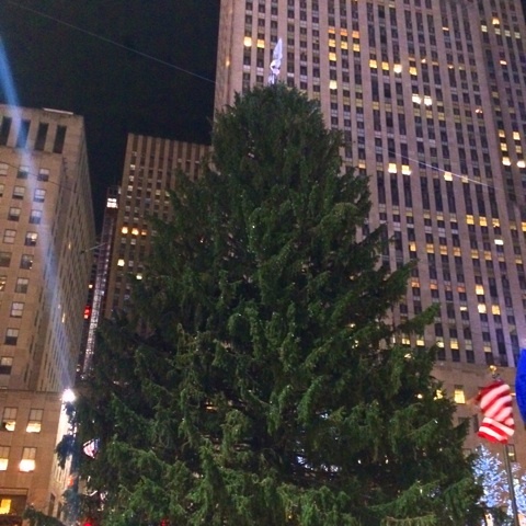 {428E4EB4-709B-435F-8A67-E9594F62E543:01}