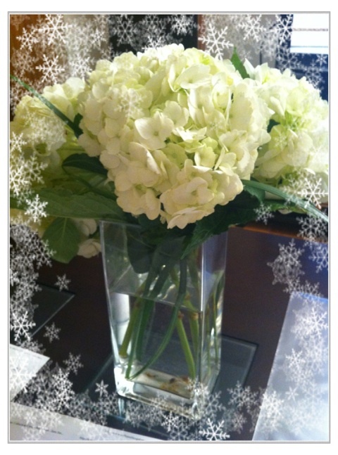 photo:01